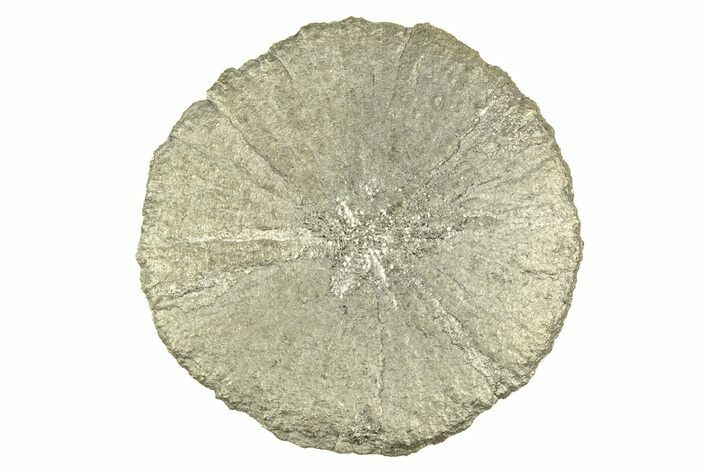 Radiant Pyrite Sun - Sparta, Illinois #342588